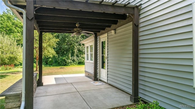4479 Clark St, Hamburg, NY 14075 - photo 4