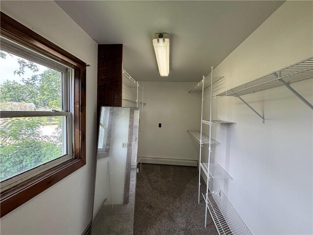8018 State Route 36, Hornellsville, NY 14807 - photo 12