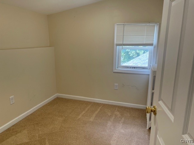 44 E 8th St, Oswego, NY 13126 - photo 22
