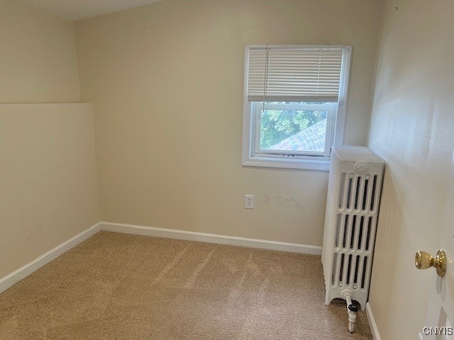 44 E 8th St, Oswego, NY 13126 - photo 23
