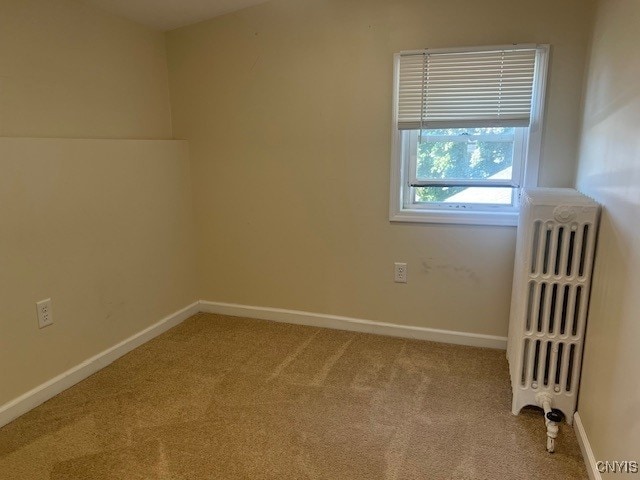 44 E 8th St, Oswego, NY 13126 - photo 25