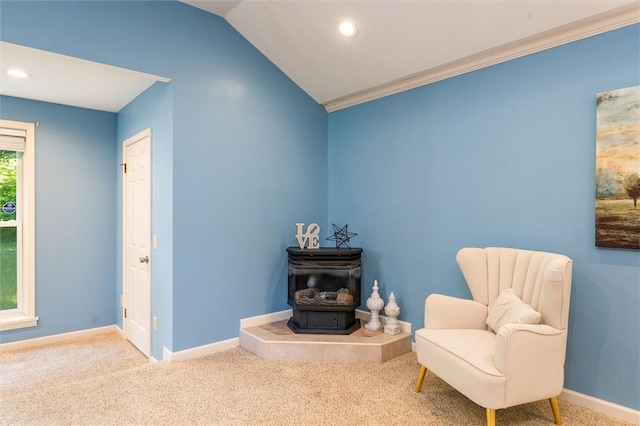 15 Penhurst Rd, Brighton, NY 14610 - photo 24