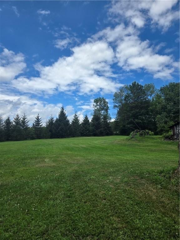 186 Pigeon Hill Rd, Plymouth, NY 13844 - photo 8