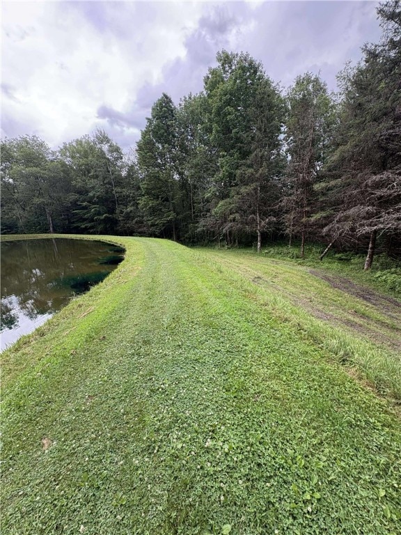 186 Pigeon Hill Rd, Plymouth, NY 13844 - photo 25