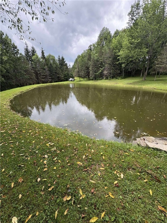 186 Pigeon Hill Rd, Plymouth, NY 13844 - photo 28