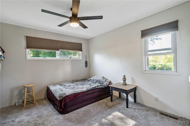 6239 Mud Mill Rd, Cicero, NY 13029 - photo 18
