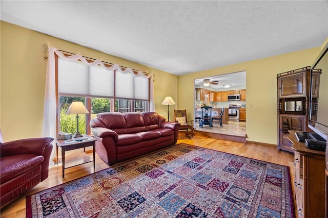 10 Valley Park Cir, Parma, NY 14559 - photo 19