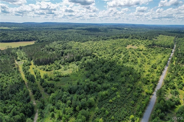 910 River Rd, Boonville, NY 13309 - photo 18