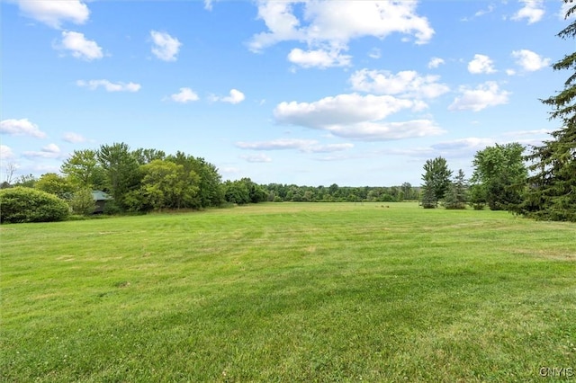 1473 Kinderhook Rd, Sullivan, NY 13037 - photo 34