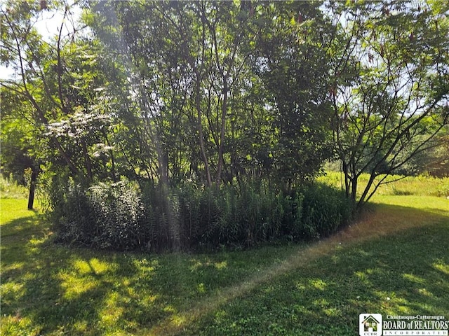 1493 Flanigan Rd, Hinsdale, NY 14743 - photo 4