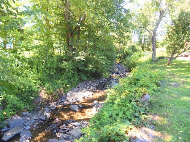 182 Dingman Hill Rd, Bainbridge, NY 13733 - photo 6