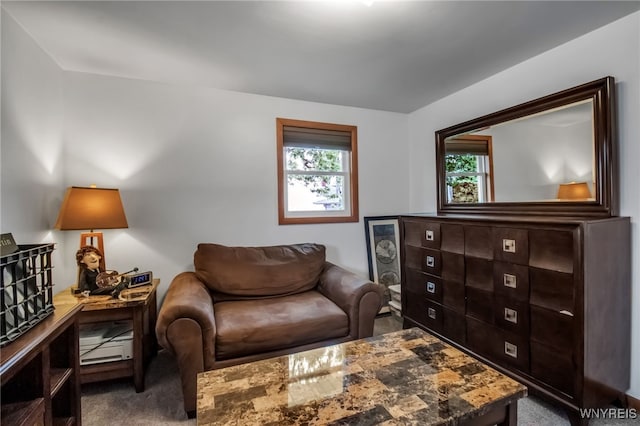 21 Hillsboro Rd, Cheektowaga, NY 14225 - photo 18