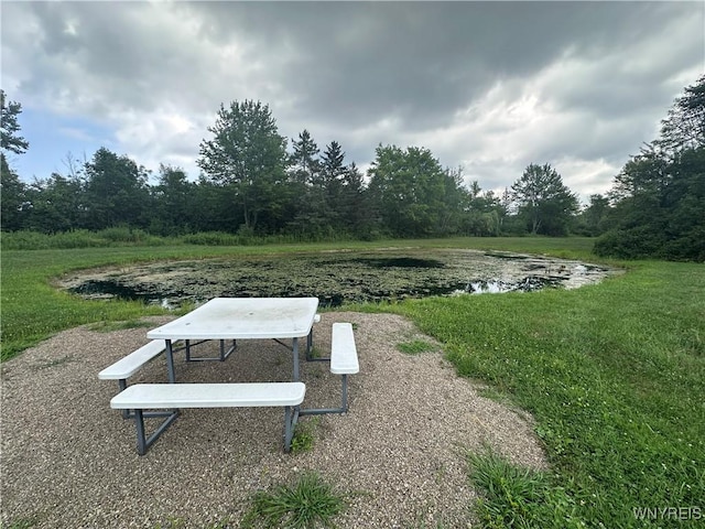 8015 Versailles Rd, Evans, NY 14006 - photo 29