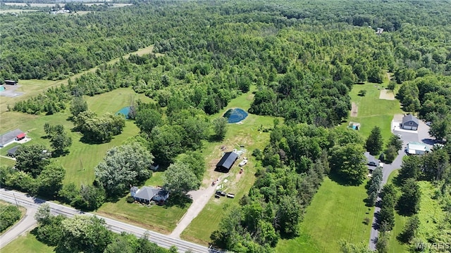 8015 Versailles Rd, Evans, NY 14006 - photo 36