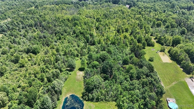 8015 Versailles Rd, Evans, NY 14006 - photo 38