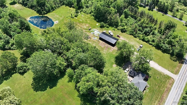 8015 Versailles Rd, Evans, NY 14006 - photo 40