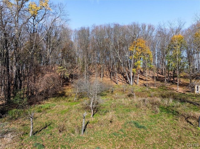 37 Kellogg St, Kirkland, NY 13323 - photo 45