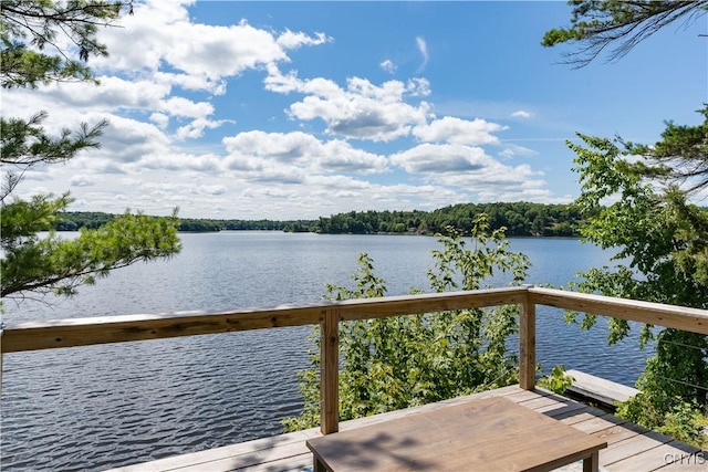 24 Patrick Dr, Hammond, NY 13646 - photo 5