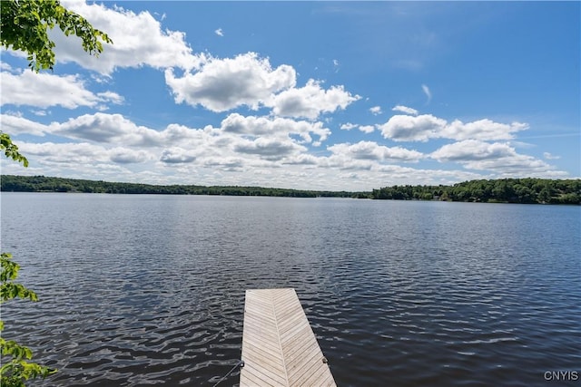 24 Patrick Dr, Hammond, NY 13646 - photo 9