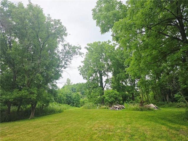 3545 N Creek Rd, Palmyra, NY 14522 - photo 35