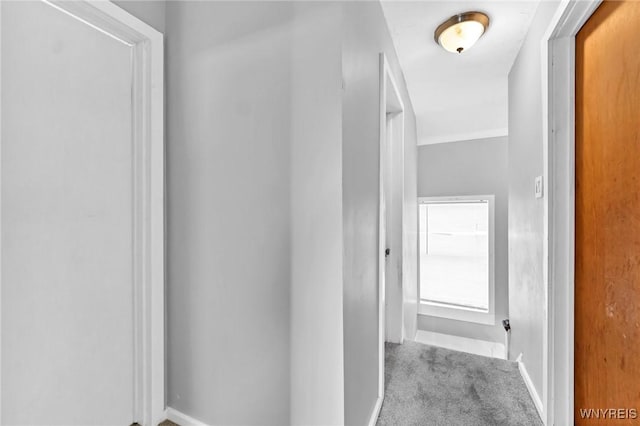 24 Belmont St, Buffalo, NY 14207 - photo 23