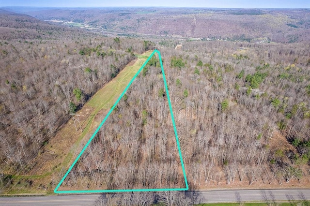 Breed Hollow Rd, Catlin, NY 14902 - photo 1