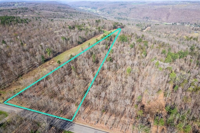 Breed Hollow Rd, Catlin, NY 14902 - photo 2