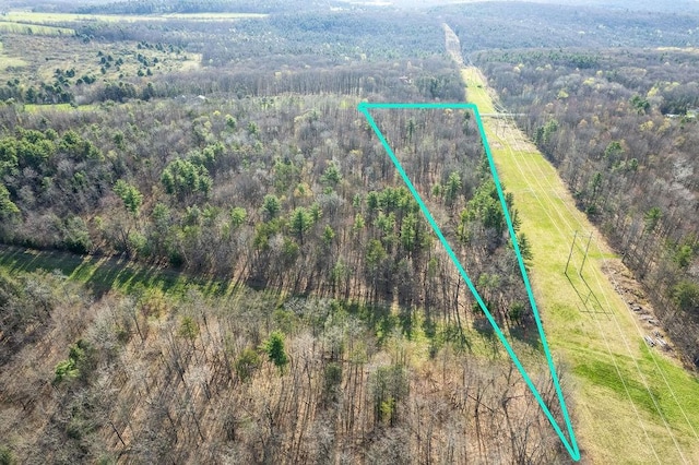 Breed Hollow Rd, Catlin, NY 14902 - photo 3