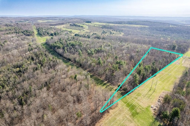 Breed Hollow Rd, Catlin, NY 14902 - photo 4
