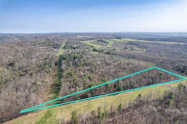 Breed Hollow Rd, Catlin, NY 14902 - photo 5