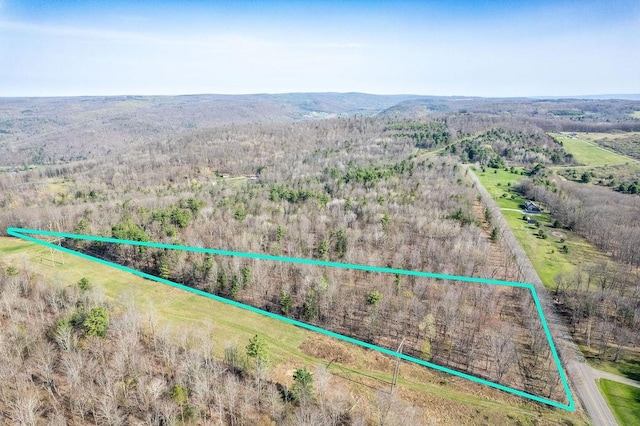 Breed Hollow Rd, Catlin, NY 14902 - photo 6