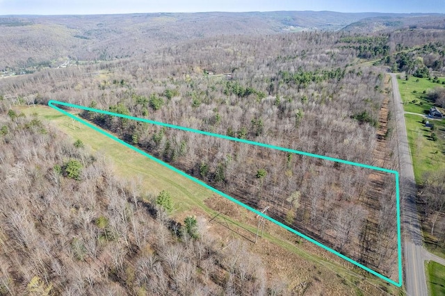Breed Hollow Rd, Catlin, NY 14902 - photo 7