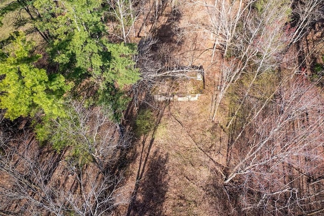 Breed Hollow Rd, Catlin, NY 14902 - photo 8