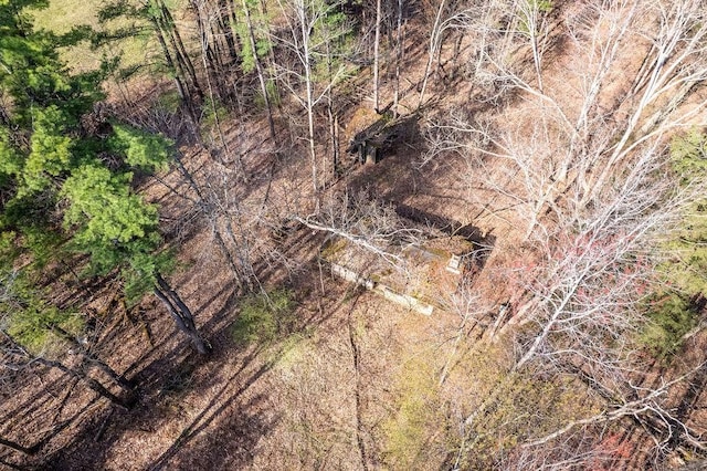 Breed Hollow Rd, Catlin, NY 14902 - photo 9