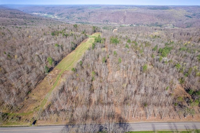 Breed Hollow Rd, Catlin, NY 14902 - photo 11