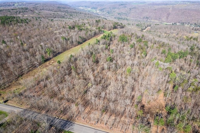 Breed Hollow Rd, Catlin, NY 14902 - photo 12