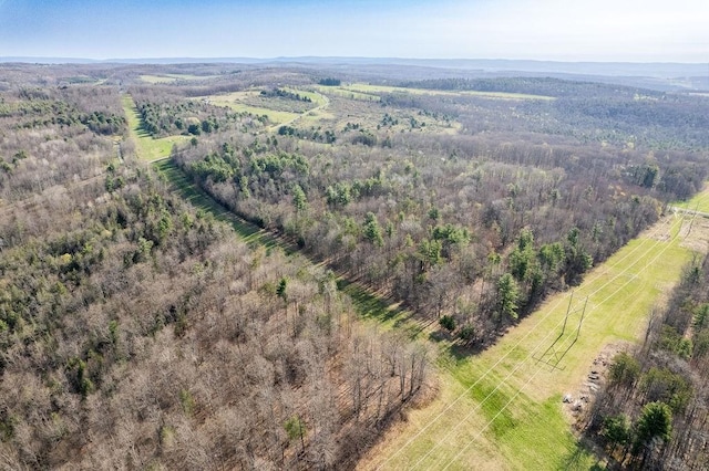 Breed Hollow Rd, Catlin, NY 14902 - photo 14