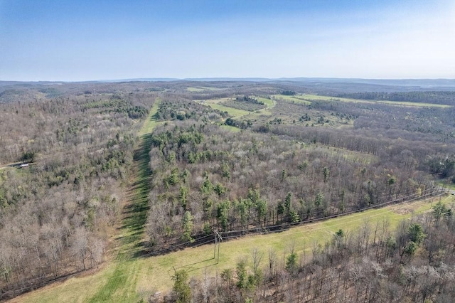 Breed Hollow Rd, Catlin, NY 14902 - photo 15