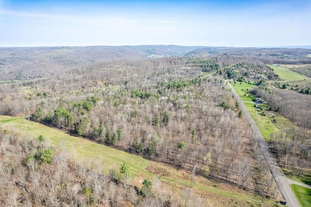 Breed Hollow Rd, Catlin, NY 14902 - photo 16
