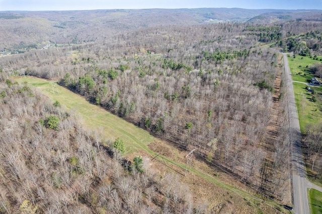 Breed Hollow Rd, Catlin, NY 14902 - photo 17
