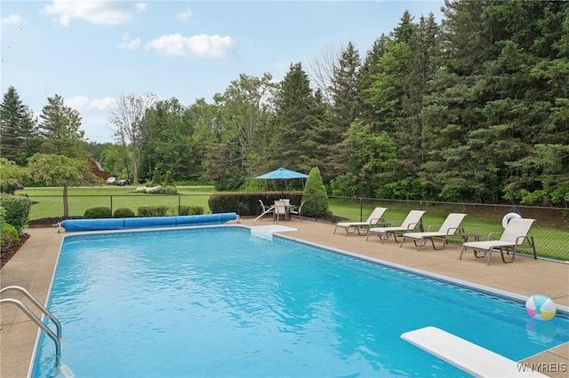 10120 Partridge Rd, Colden, NY 14080 - photo 30