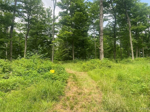 Fulmer Valley Rd, Wellsville, NY 14895 - photo 1