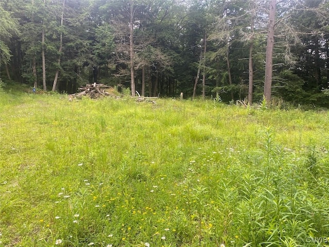 Fulmer Valley Rd, Wellsville, NY 14895 - photo 2