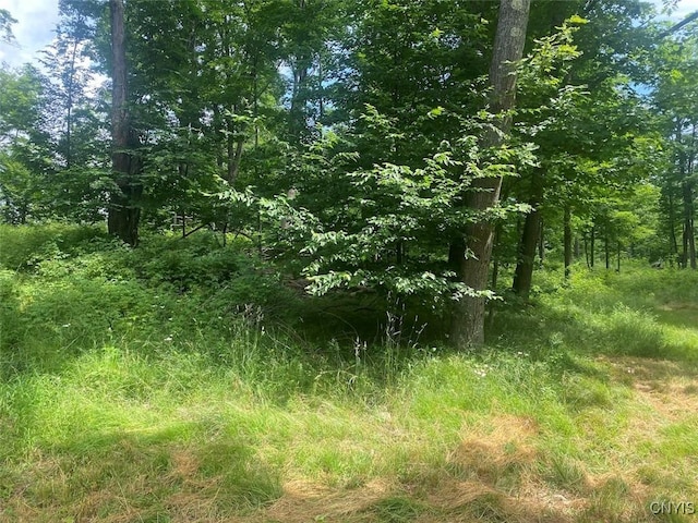 Fulmer Valley Rd, Wellsville, NY 14895 - photo 9