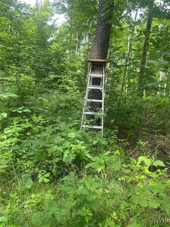Fulmer Valley Rd, Wellsville, NY 14895 - photo 12