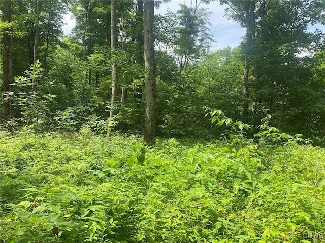 Fulmer Valley Rd, Wellsville, NY 14895 - photo 13