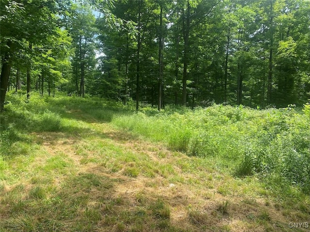 Fulmer Valley Rd, Wellsville, NY 14895 - photo 16