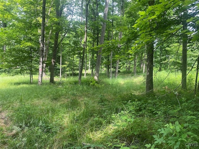 Fulmer Valley Rd, Wellsville, NY 14895 - photo 17
