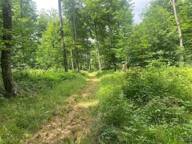 Fulmer Valley Rd, Wellsville, NY 14895 - photo 18