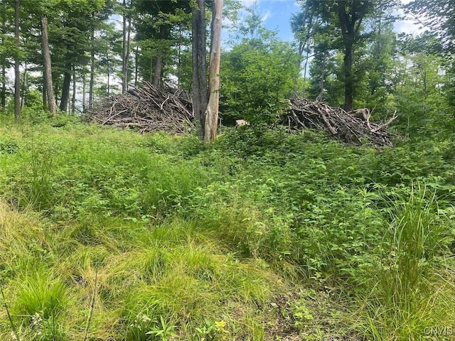 Fulmer Valley Rd, Wellsville, NY 14895 - photo 21
